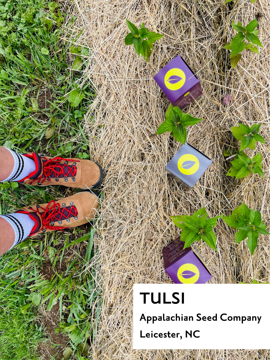 Tulsi Rose - Tea Box