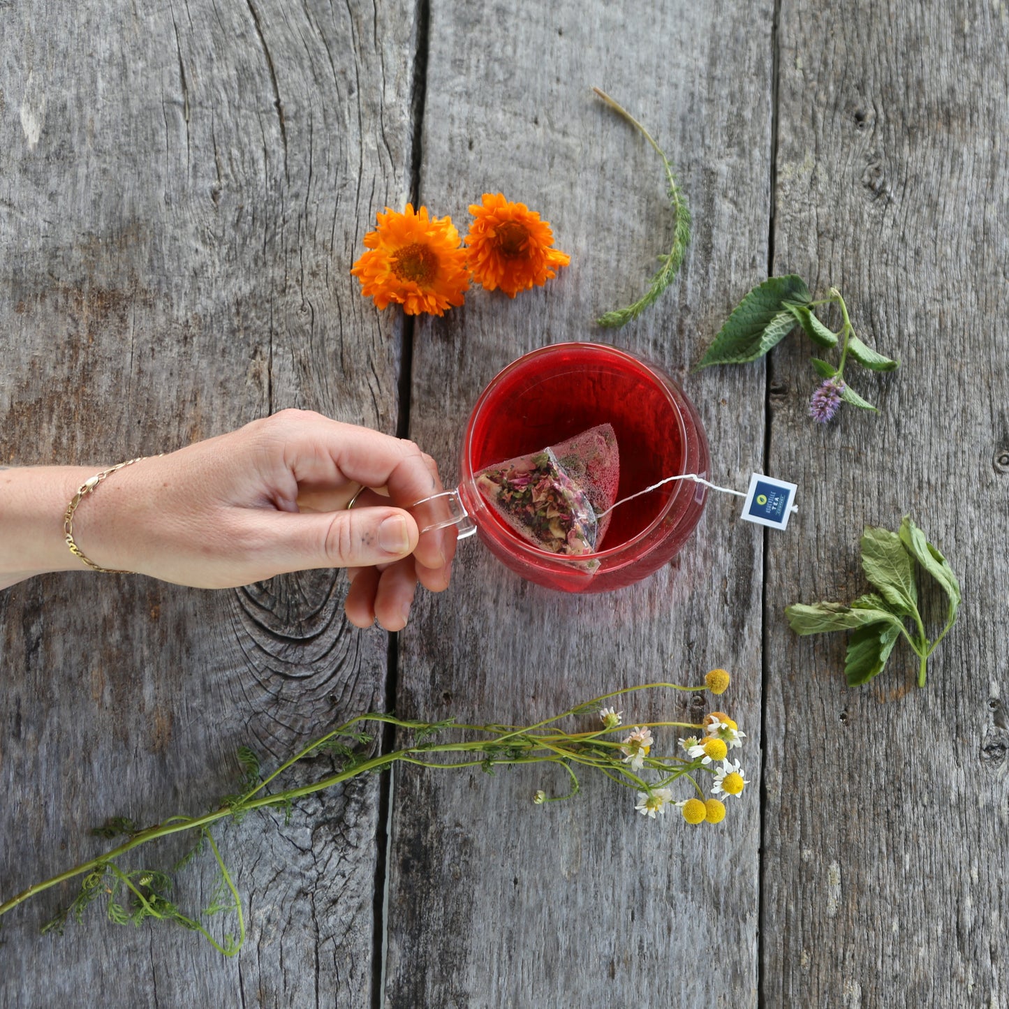 Hibiscus Mojito - Tea Box